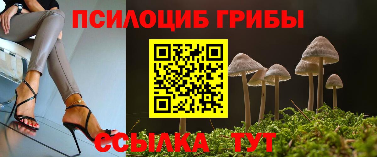 Псилоцибиновые грибы Psilocybine cubensis Дубна