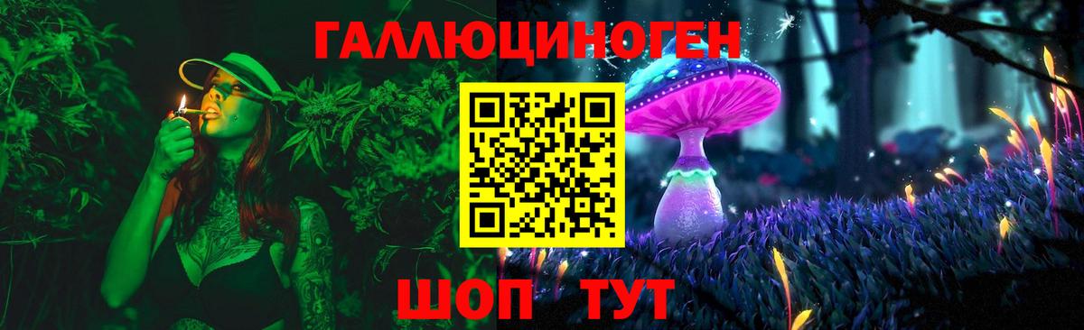 Дубна  Галлюциногенные грибы мицелий  Вход с VPN  Галлюциногенные грибы прущие грибы 